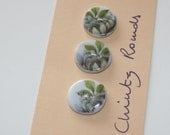 Ceramic buttons, small round with flower design, very shabby or cottage chic