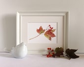 Leaves and Berries Watercolor - Autumn Leaves, Fall Nature Study, Viburnum, Red, Green - Unframed Print of Watercolour Painting
