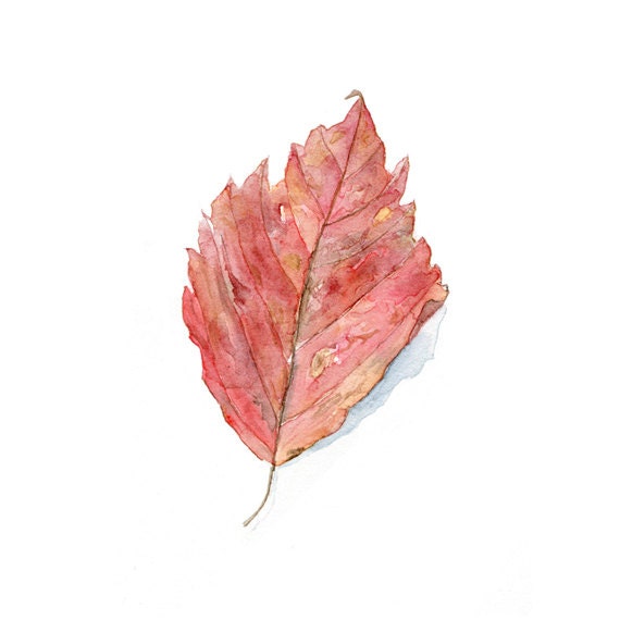 Leaf Watercolor Painting - Art Print Based on Original Watercolor Painting, Autumn Leaves, Fall Foliage, Red, Pink, Orange - Watercolour - trowelandpaintbrush