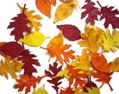 fall leaves, distressed fall leaves, die cut, embellishment, decoration