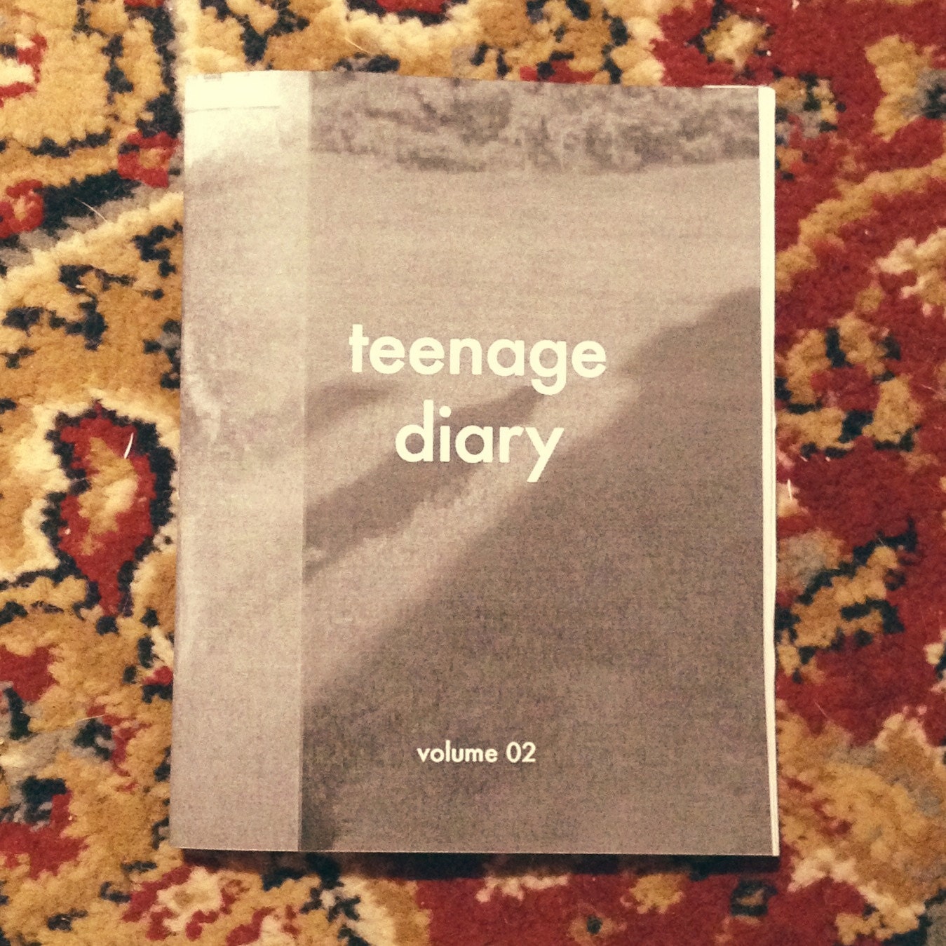 Teenage Diary zine volume 2