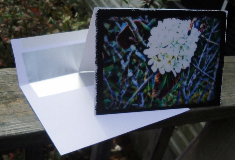 Altered Colorful Flower Blank Greeting Card