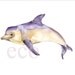 10x8 inch Dolphin Original  WildLife watercolor painting