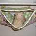 Large Double Bunk Hammock "Neapoliton Print with Polka Dot on Green Fleece Lining" Rat, Ferret, Sugar Glider