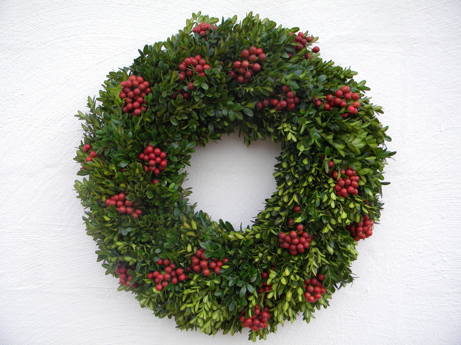 Fresh Boxwood Holly Wreath
