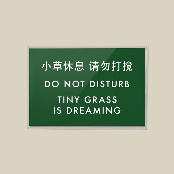 Funny Sign. Cute Lawn Sign. Keep off the Grass Sign. Yard Sign. Chinglish Sign. Tiny Grass is Dreaming