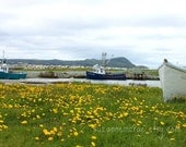 8x10 print - Newfoundland Canada - small harbour in the middle dandelion field