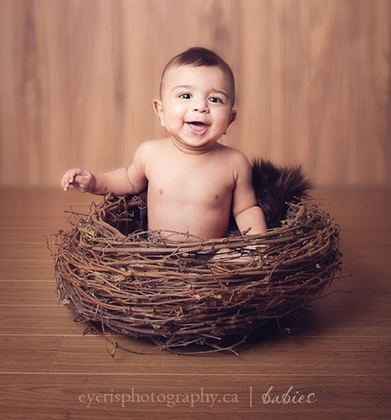 Infant Photography Props