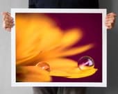Autumn Mum Flower 16x20, Chrysanthemum Macro Photograph Home Decor, Chrysanth Macro Photography Print, Valentines Day, Gift for her