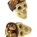 Chocolate Skulls Gone Nuts