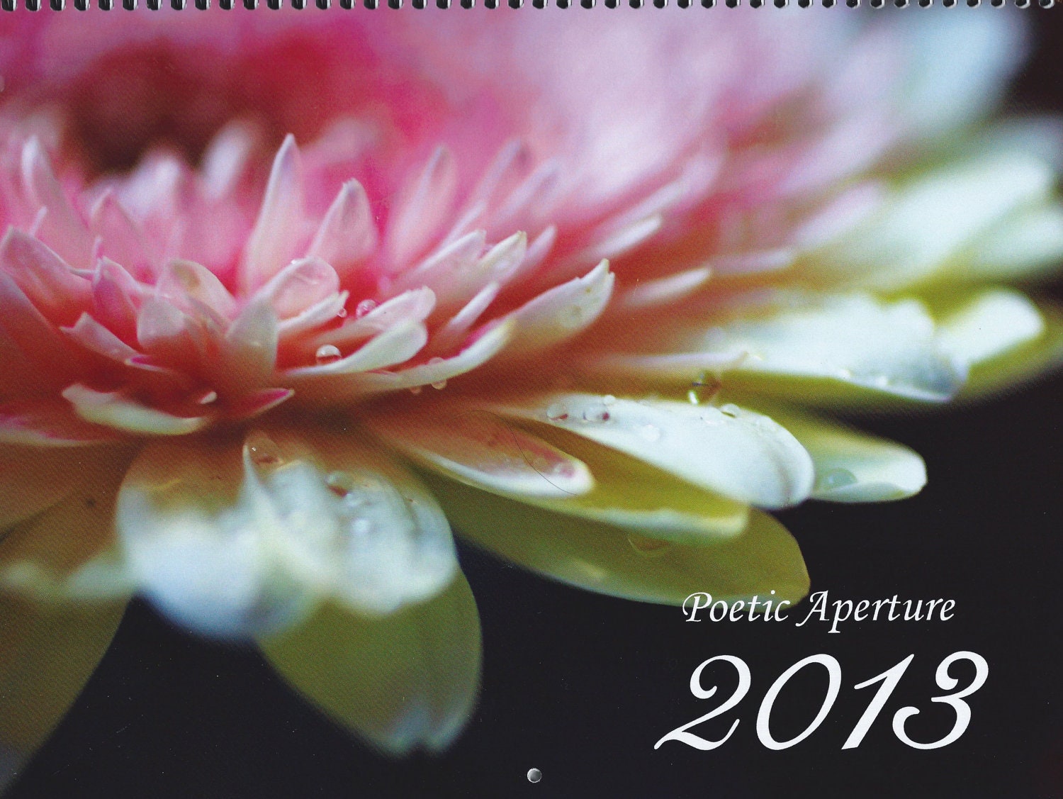 2013 Deluxe Nature Wall Calendar