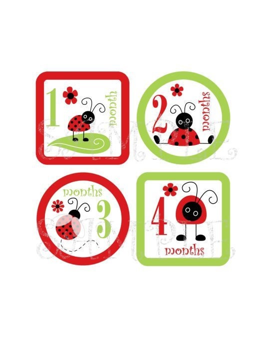 Baby Onesie Monthly Iron On  Transfers - Cute Little Lady Bugs P1