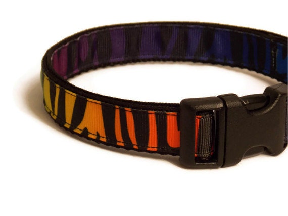 Dog Collar - Rainbow Zebra Print