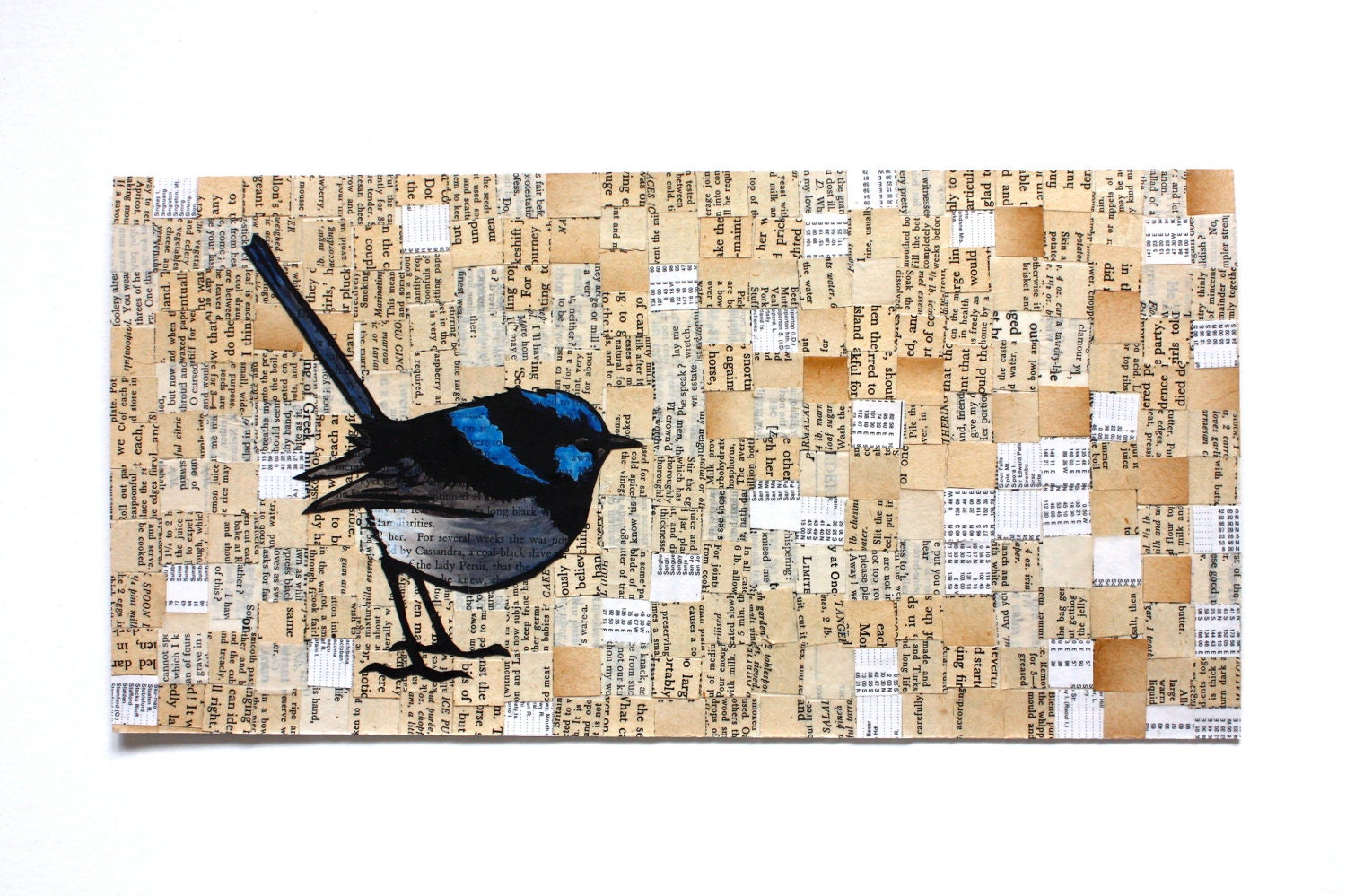 Original Lino Print Collage - Superb Wren - Australian Native Bird