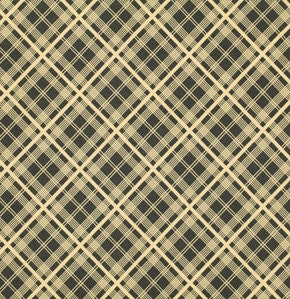 SALE - Chicopee by Denyse Schmidt for Free Spirit - Simple Plaid (Black) - Half Yard