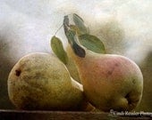 Pears, 8x12 Fine Art Photography, Food Photography - CindiRessler