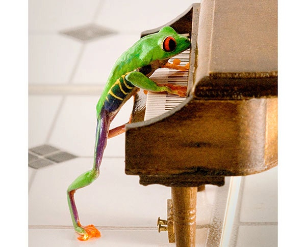 Music Art, Piano Art, Frog at the Piano, Miniature Piano