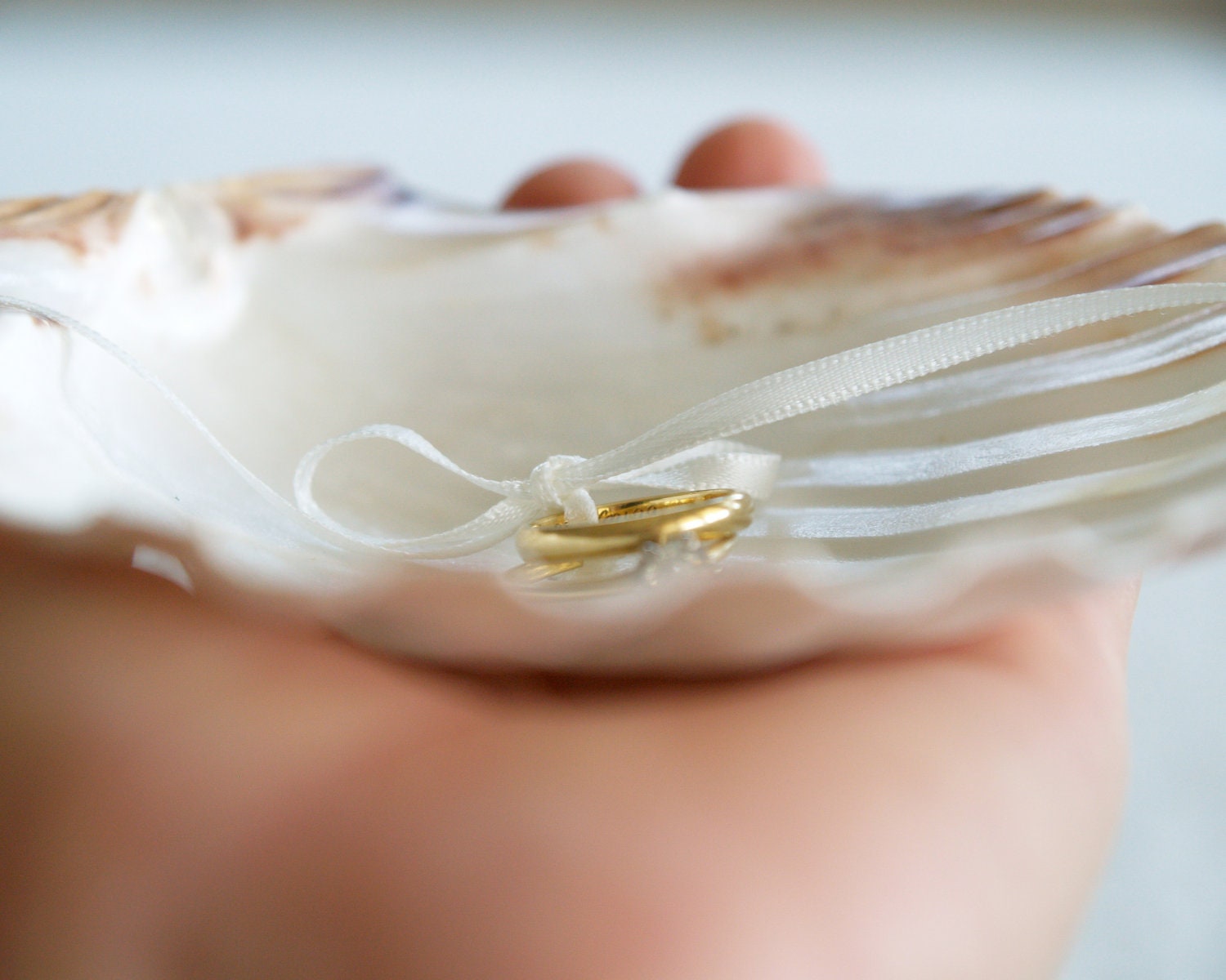 Shell Ring Pillow, Scallop Pearl Inspired Ring Bearer Shell for your Beach Wedding, ivory white Summer