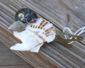 Scallop Hair Clip - Handmade Seashell Hair Accessory designed with Natural Seashells and Snap Hair Clip
