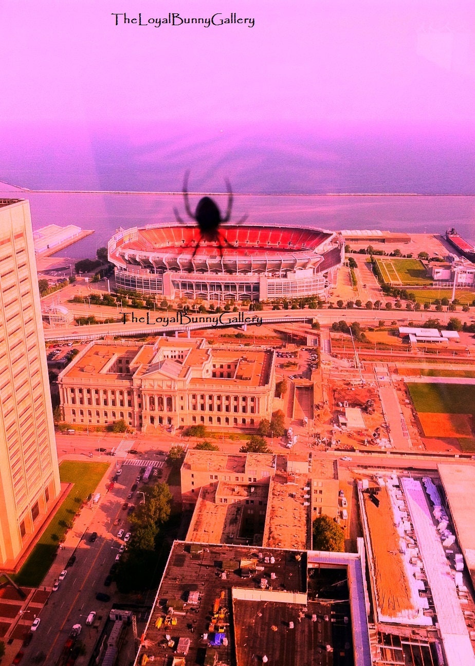 Godzilla Spider Eating Browns Stadium Series JPG Files or Matted Fine Art Prints BOGO Free