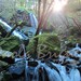 Waterfalls in the Forest, California Photography, Nature Photography, Emerald, Green, Flare, Wall Art, 8x10