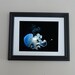 Jellyfish Photography Print, Underwater Ocean Photograph Photo 8x10, Sea Art