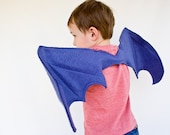 Dragon Wings