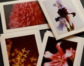 Flora Four Photography Card Set: Pink, Yellow, Purple, White, Black, Blue, Brown - FREE SHIPPING