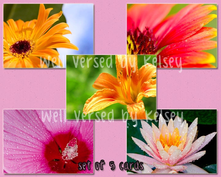 postcard set, photo postcards, flower photo, set of 5 blank cards