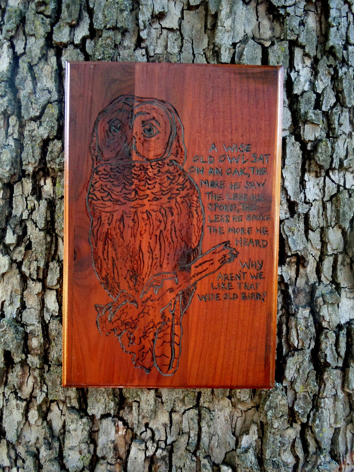 Wise Old Owl: Wood Burned Plaque
