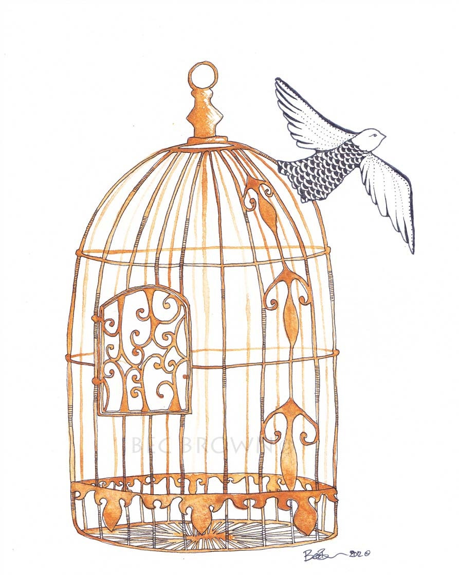 Bird Cages Drawings