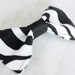 Zebra Alligator clip bow