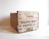 Vintage Industrial Storage Box / File Box, Planter, Rustic Box