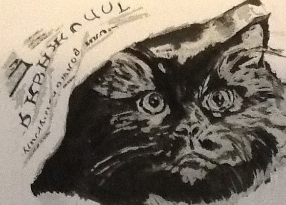Black Cat Newspaper Print