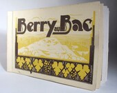 Vintage Postcard Booklet - French Art Deco - Berry Au Bac France - Sepia Postcards - Yellow and Black