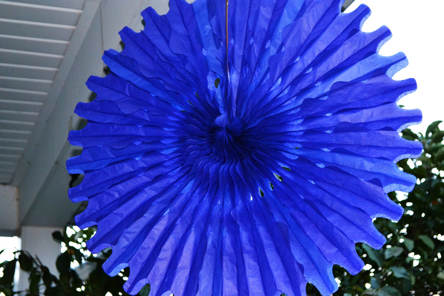 Blue Party Fans Il_170x135