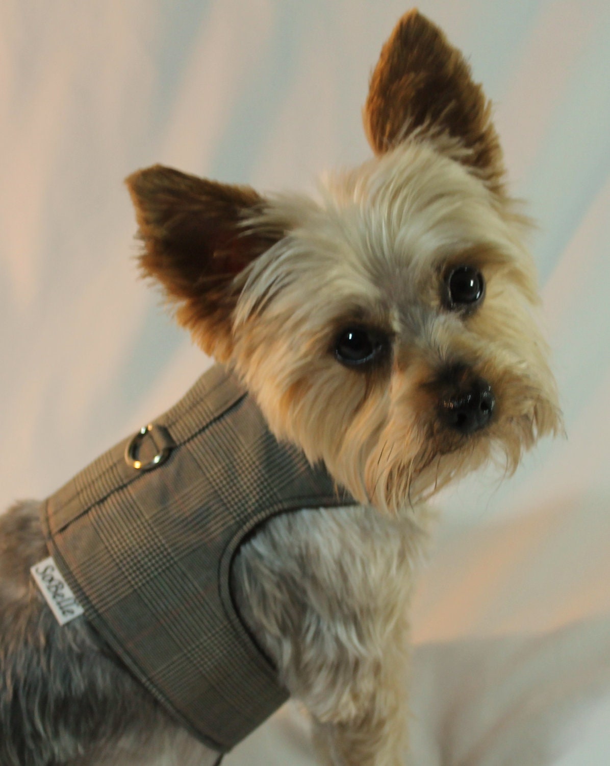 XSMALL Bussiness Plaid Dog Harness