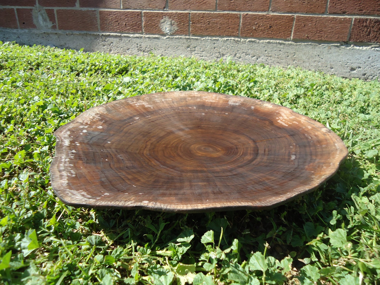 Outstanding, hand carved black walnut plate and serving tray, skillfully crafted
