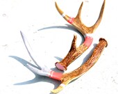 Hand painted deer antlers, a pair of coral and silver painted antlers, ooak - SarahsQuirksofArt