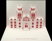 Natural History Museum pop-up