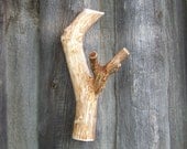 Rust branch wall hanging wooden hook rustic brown shabby chic jewelry organizer rusteam housewares kitchenwares key holder under 25