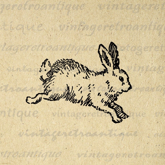 Cute Bunny Digital Image Download Collage Sheet Rabbit Easter Spring Printable Graphic for Transfers etc HQ 300dpi No.2382