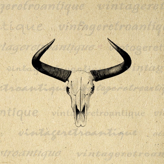 cow horns clipart - photo #30