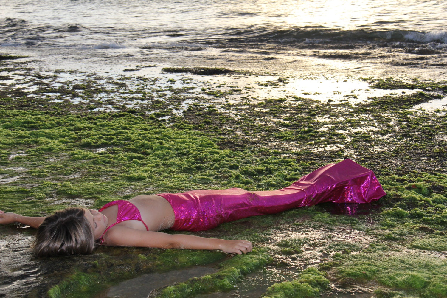 Mermaid Tail with Butterfly Top