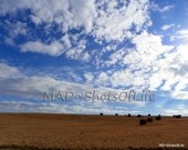 8x10 Landscape - Blue Sky - White Clouds - Field Of Hay - Fine Art Photography - Home Decor - Wall Art