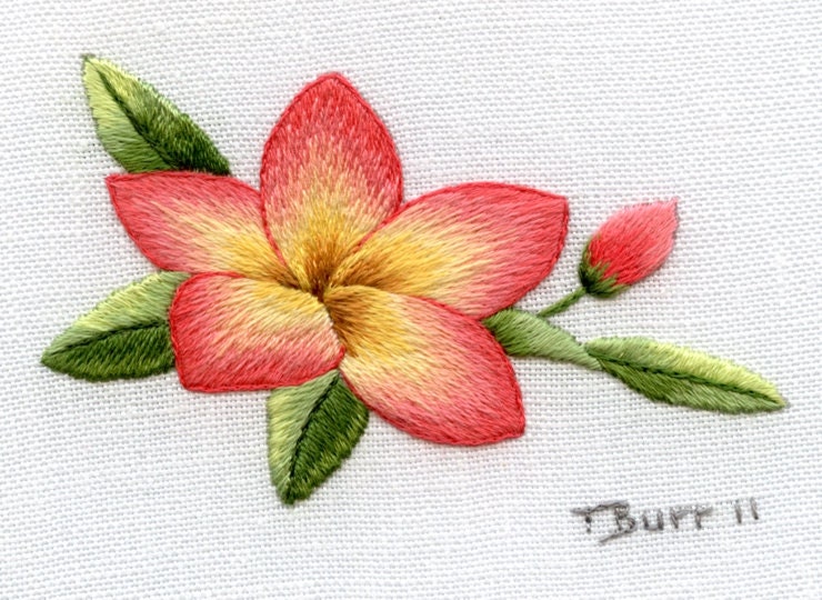  Trish Burr  Kit: Frangipani