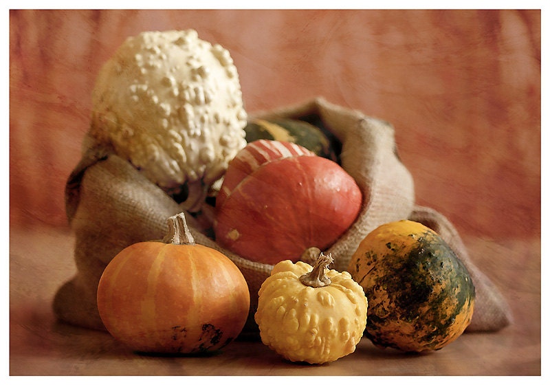 Fine Art Print, Still Life Photography, Colorful Pumpkins - food photography, kitchen decor, kitchen wall decor