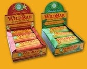 Mayan Spice WildBars - Raw Superfood Chocolate Meal Replacement Bars, 1 Bar