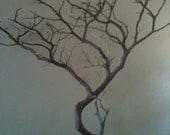 Manzanita Centerpiece branches, 10 branches 20" tall
