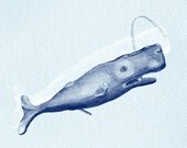 Antique Illustration sperm whale - print on Fine art watercolor paper 8x10 inch.